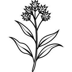 Minimal Goldenrod Flower Vector Illustration on White Background