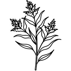 Minimal Goldenrod Flower Vector Illustration on White Background