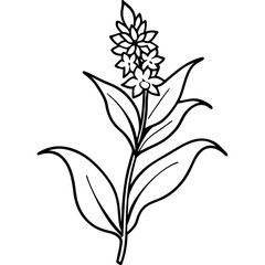 Minimal Goldenrod Flower Vector Illustration on White Background