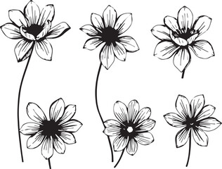 Set of flowers. Hand drawn vector illustration	