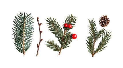 Christmas Pudding for Holiday Festivities - Isolated on White Background