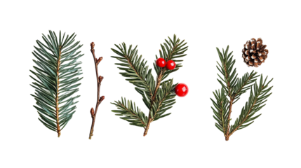 Christmas Pudding for Holiday Festivities - Isolated on White Background