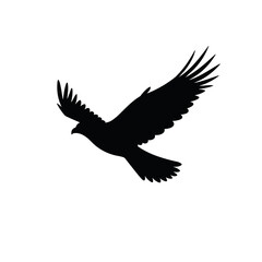 Silhouette of a bird soaring against a white background  