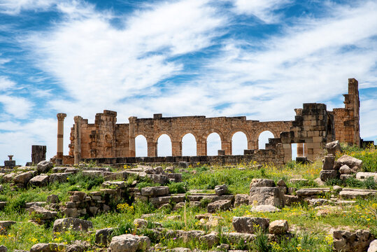 Remains in Volubilis, the best preserved Roman ruins in Africa located in Morocco - Powered by Adobe