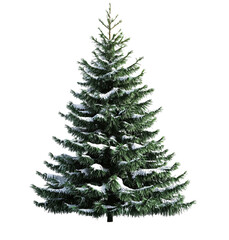 Fototapeta premium Christmas Tree Lights for Holiday Illumination - Isolated on White Background