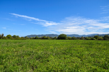 green grass field and bright blue sky, Green Land, Blue Sky, Summer Sunny Day Background, Wide View Of Lawn Hill and Blue Sky, green grass field with blue sky and white clouds in the gardening.