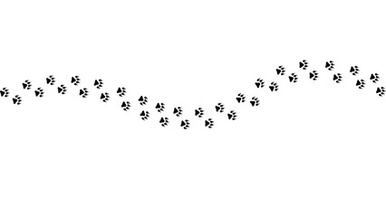 Path of bear footprints. Tracks of paw prints of bear, panda, grizzly bear. Silhouette. Bear trail. Vector isolated on white. For print, textile, clothing, postcard, book design, games, pet store, zoo