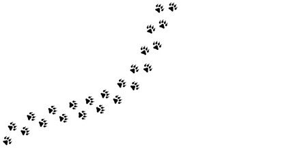 Footprints for pets, dog or cat. Pet prints. Paw pattern. Foot puppy. Black silhouette shape paw print. Footprint pet. Animal track. Trace dogs, cats. Cute background turn right. Design walks. Vector