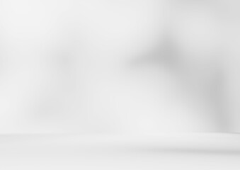 Empty white room studio with leaves shadow overlay effect for product presentation display. Cosmetic beauty fashion showroom. Morning sunlight through the window. Minimal Mock up interior background.