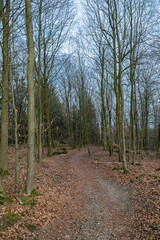 Trail to the Hermannsdenkmal in Germany