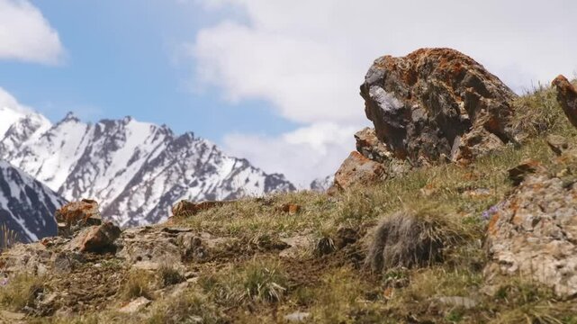 This 4K footage highlights rugged rocks in the Arabel Plateau, Kyrgyzstan, with snowy mountain peaks in the background, showcasing the dramatic contrast between rock and snow