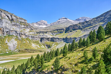 Ordesa Valley in the Pyrenees. Cola de Caballo Waterfall in the background. Ordesa and Monte Perdido National Park, Huesca, Aragon, Spain.