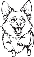 Corgi dog. Hand drawn vector illustration
