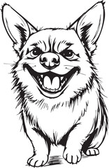 Corgi dog. Hand drawn vector illustration