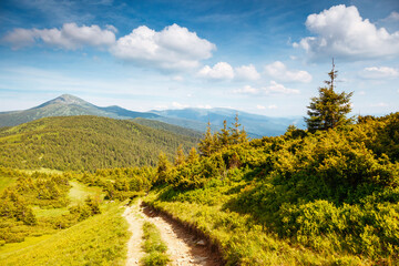 Mount Hoverla, the highest peak of the Chornohora range, on a sunny summer day. Carpathian...