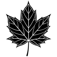 vector illustration of a leaf