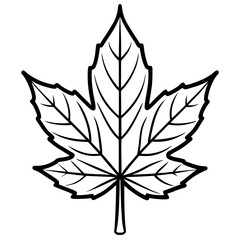 black and white lotus