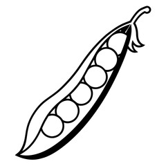 hand drawn vector illustration of a corn