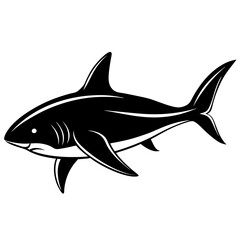 shark vector illustration