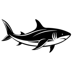 shark vector illustration
