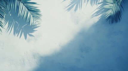 Palm leaf shadows on white background with soft light gradient. High-res and ultra-detailed.