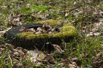 An old, black car tire lies on the ground, covered with green moss and fallen brown leaves. The tire is partially overgrown with grass and other small plants. 