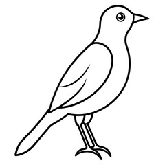 Elegant Birds Line Art Vector Illustration | Minimalist Bird Drawings | Hand-Drawn Bird Sketch | Flying Birds Silhouette | Nature-Inspired Bird Artwork for Logos, Prints, Crafts, and Wall Art | Digita