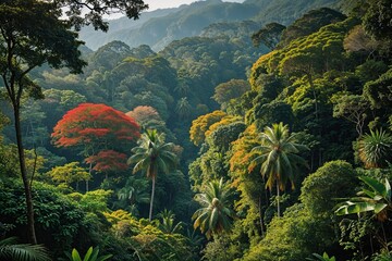 Pristine Jungle Wilderness View with Colorful Foliage and Abundant Biodiversity