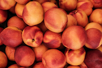 Nectarine fruit, group of peaches background, top view