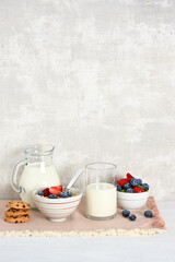 Arrangement of bowl with oat flakes, berries, cookies and milk