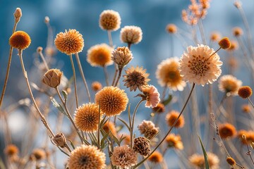 Obraz premium Stunning Macro Photography of Dried Flowers Against Unique Natural Backdrops