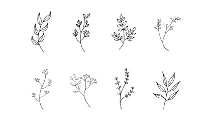A hand-sketched botanical element with light, airy strokes and natural flow.