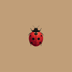 Lady bug icon logo flat vector design