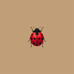 Lady bug icon logo flat vector design