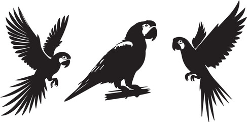 Obraz premium Parrot silhouette vector EPS SET