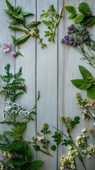 Botanical spring flat lay with flowers and natural elements, top view, no people, soft pastel vibe.