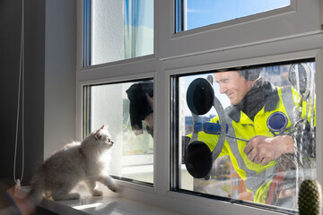 A Playful Encounter: A Curious Cat Observing a Window Cleaner Outside on a Bright Day Filled with...