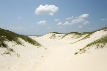 Coastal Sand Dunes Landscape, Ocean View, White Sand Beach