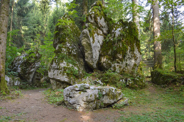 Huge rock covered with moss at Forest park Golubinjak, Gorski kotar, Croatia