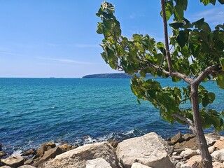 Beautiful view from EAST Europe - (Varna)Bulgaria
