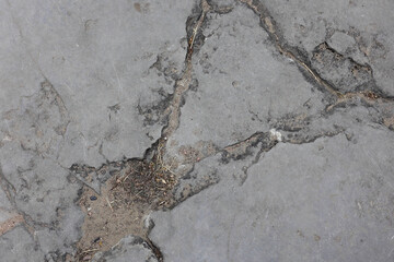 Abstract Background Texture Of Old Cracked Grey Concrete Or Stone Pavement With Weeds Growing In Cracks. Top Down View. Weathered Surface.