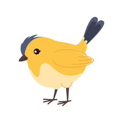 Cute yellow bird vector illustration with blue tail and head. Ideal for children’s books, spring-themed designs, greeting cards, and nature-inspired projects.