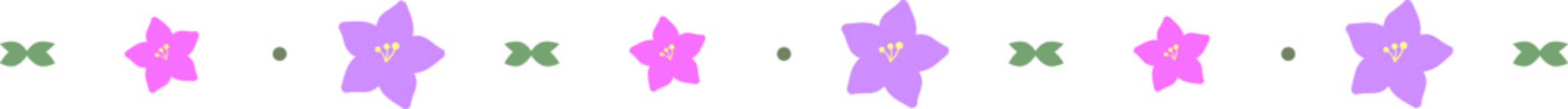 분홍색 꽃 구분선