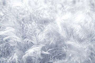 Close-up Photograph of Light Grey Feathers