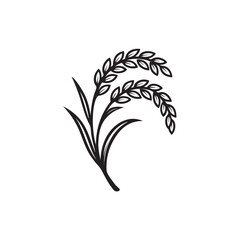 wheat ears isolated on white background