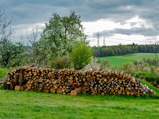 Brennholz Lager auf einer Wiese im Frühjahr © focus finder