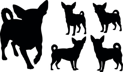 Cute dog posing on a white background. Friendly and loyal pet perfect for animal-related projects, pet care ads, veterinary services, dog training, companionship themes, and family lifestyle visuals.