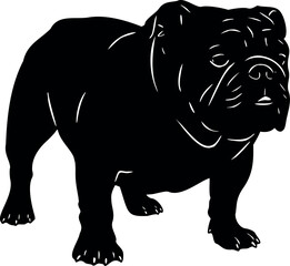 Obraz premium Cute dog posing on a white background. Friendly and loyal pet perfect for animal-related projects, pet care ads, veterinary services, dog training, companionship themes, and family lifestyle visuals.