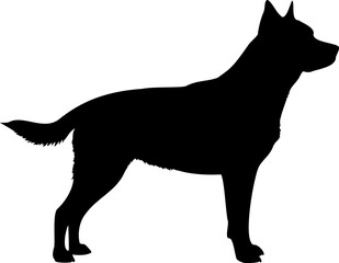 Cute dog posing on a white background. Friendly and loyal pet perfect for animal-related projects, pet care ads, veterinary services, dog training, companionship themes, and family lifestyle visuals.