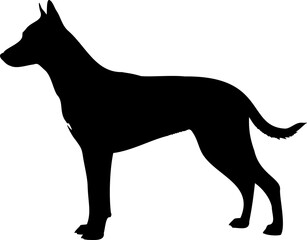 Cute dog posing on a white background. Friendly and loyal pet perfect for animal-related projects, pet care ads, veterinary services, dog training, companionship themes, and family lifestyle visuals.